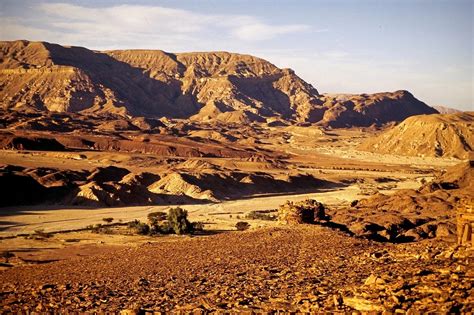 pictures of sinai desert